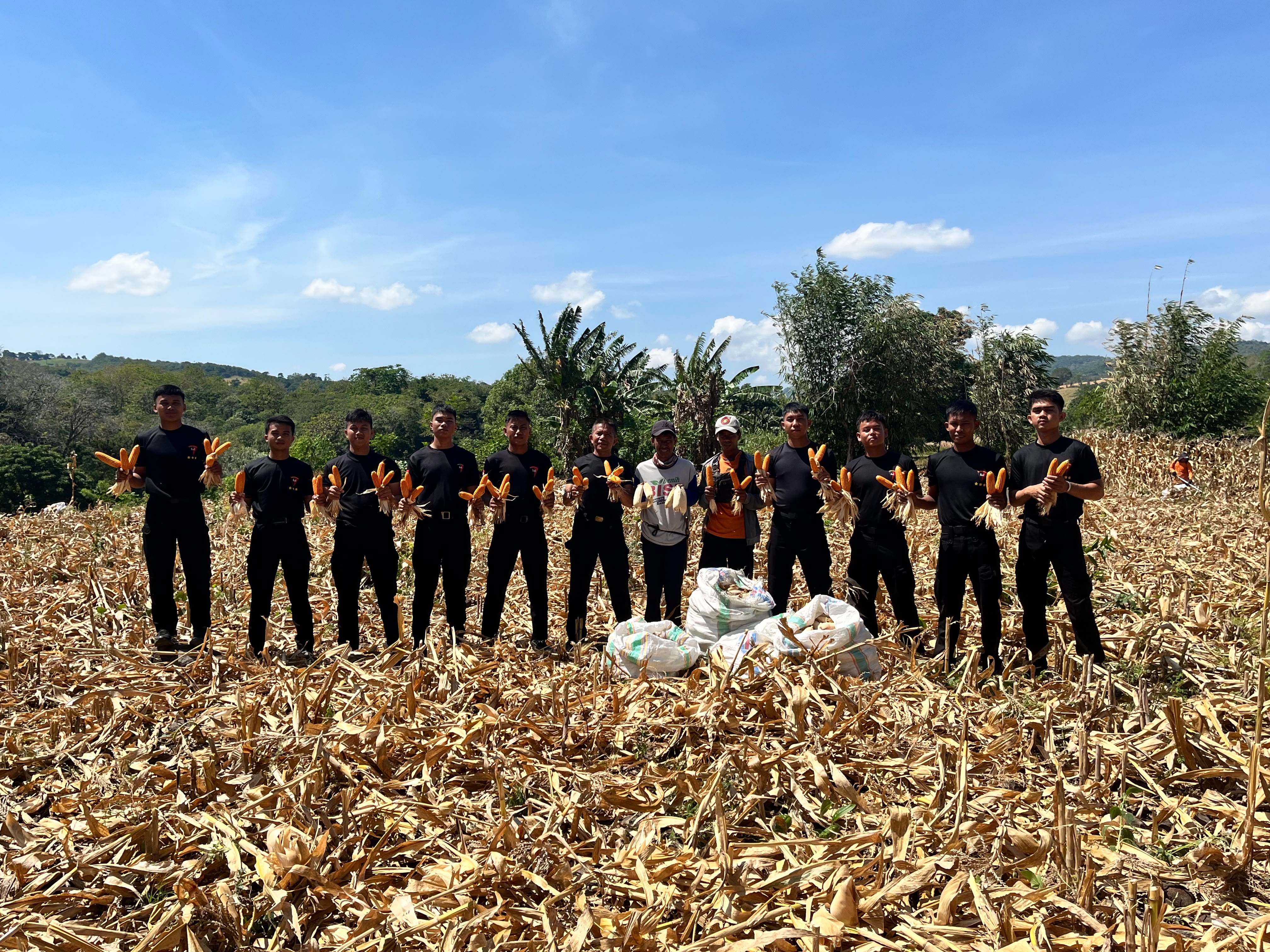 Panen Jagung, Brimob Sulsel Wujudkan Ketahanan Pangan