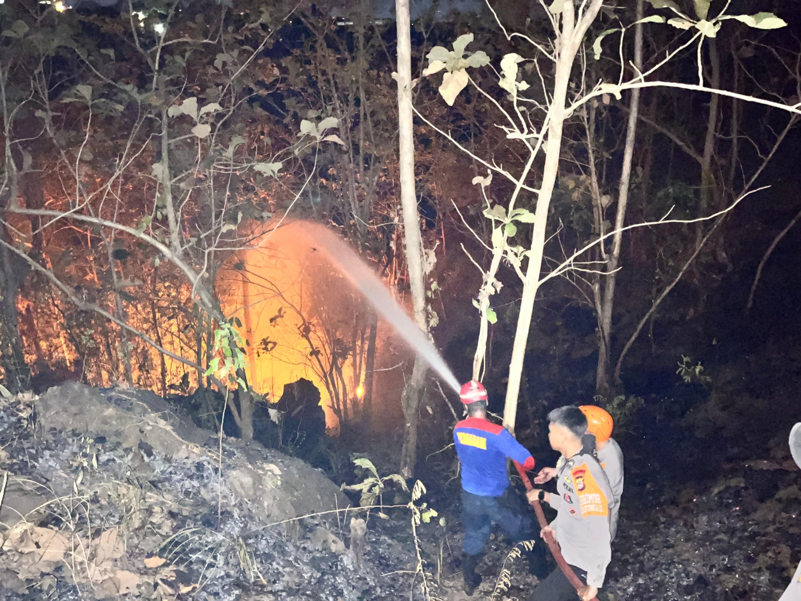 Kebakaran Hutan Terjadi di Bulu Batue Parepare, Tim SAR Batalyon B Pelopor dan Damkar Bergerak Cepat