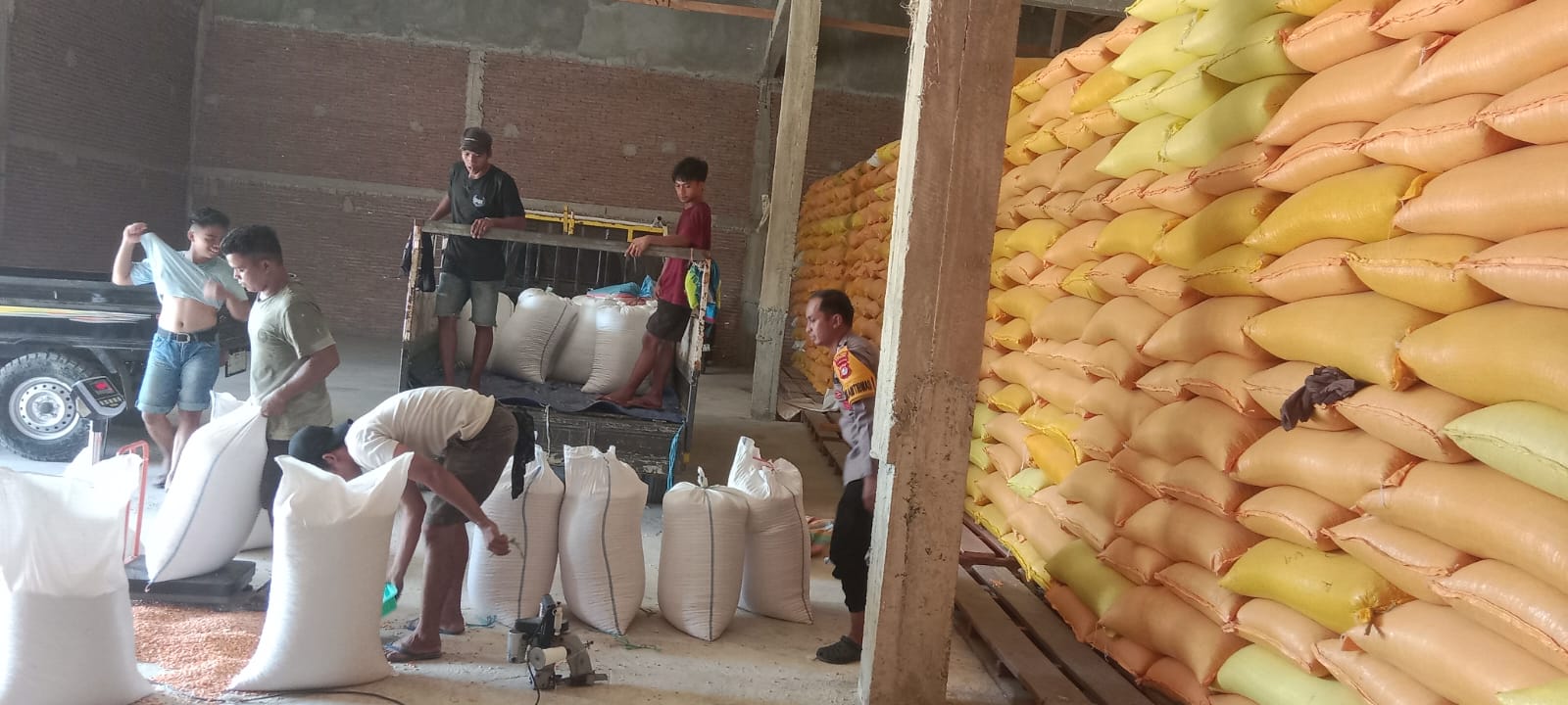 Bulog Serap 1 Ton Jagung Petani Kalumammang Senilai Rp6,4 Juta