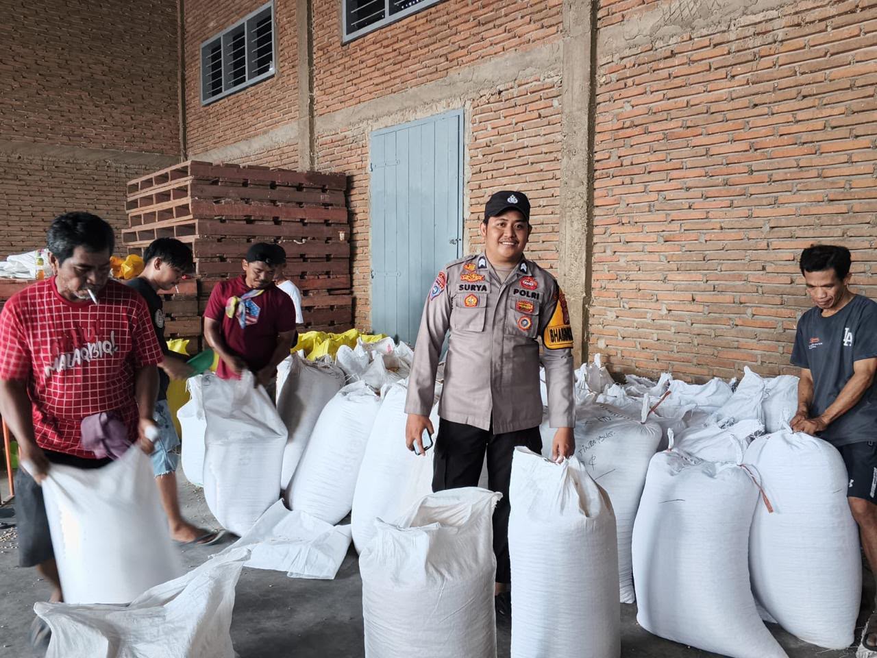 Bhabinkamtibmas Kawal Penjualan Jagung Petani ke Bulog, Pastikan Harga Tetap Layak