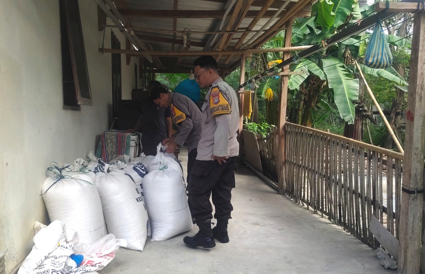 Hadir Hingga Pascapanen, Bhabinkamtibmas Polsek Banggae Pastikan Hasil Jagung Petani Terserap Bulog