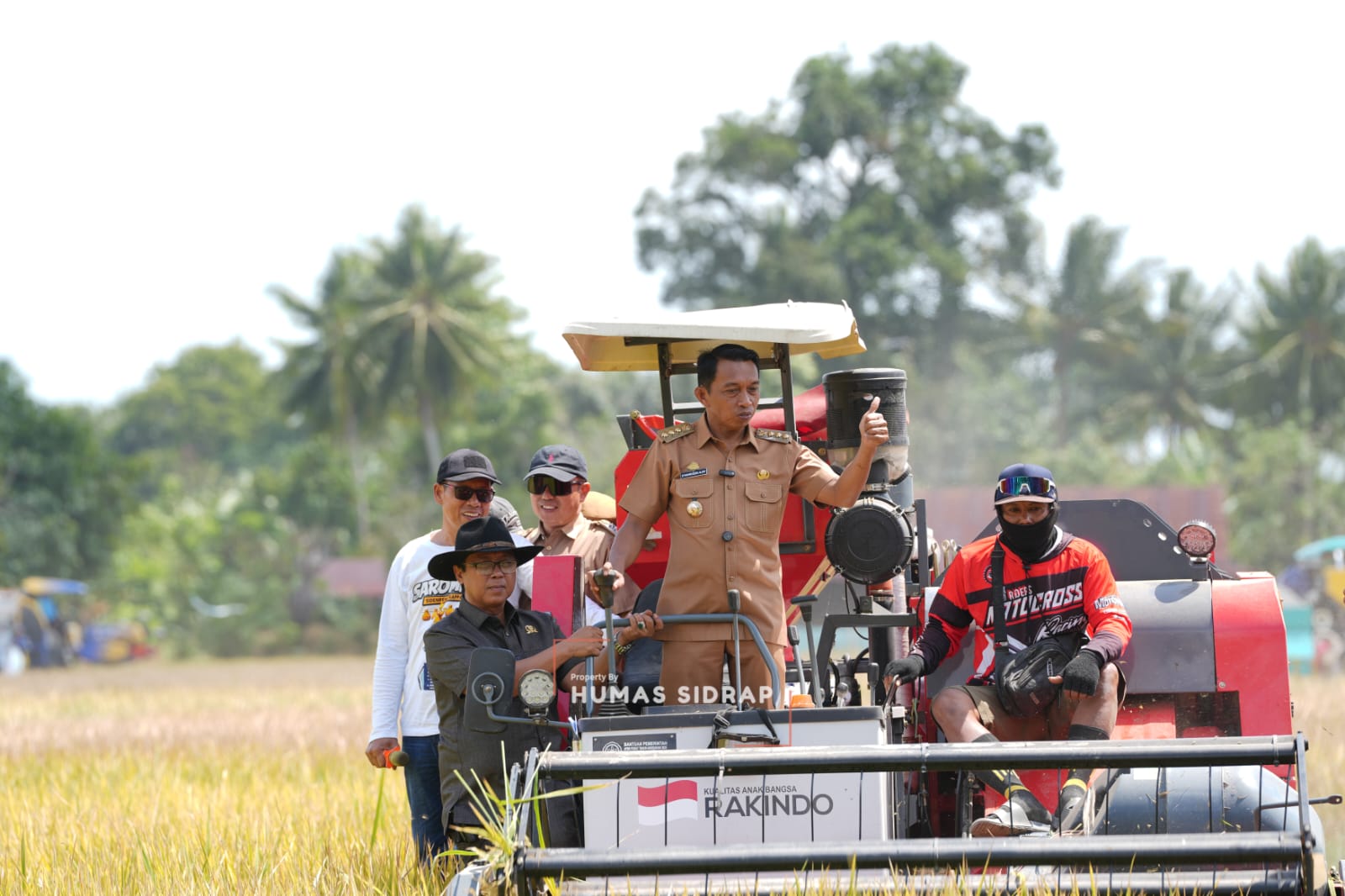 Bupati Sidrap Pimpin Panen Raya IP 300, Modernisasi Pertanian Kian Nyata