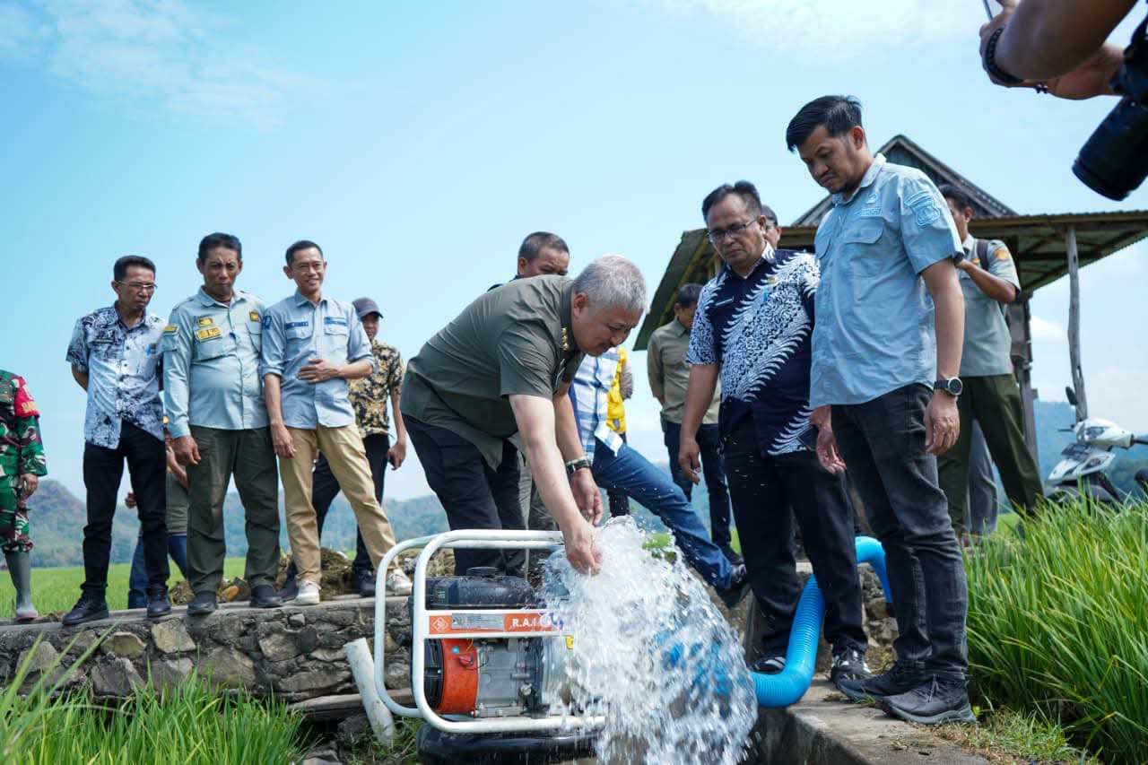 Tinjau Lahan Terdampak Kekeringan, Bupati Irwan Perkuat Penanganan Krisis Air