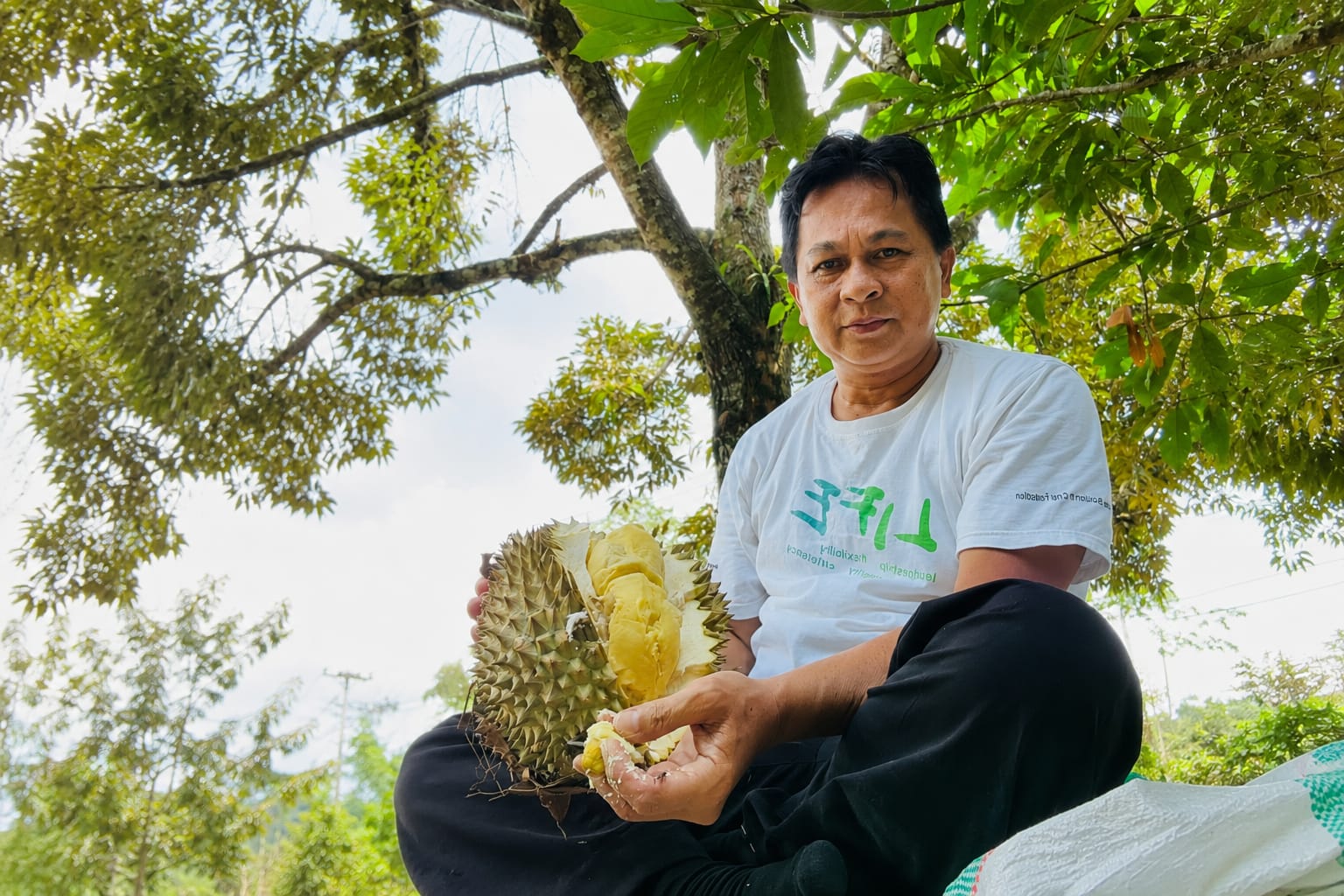 Ini 4 Alasan Utama Kenapa Luwu Utara Disebut Surganya Durian Lokal di Sulawesi Selatan
