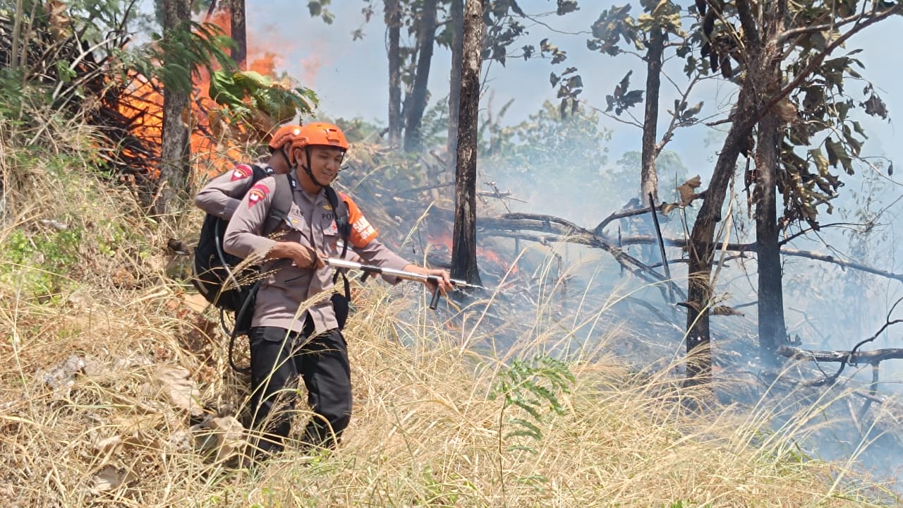 Respons Cepat Tim SAR Batalyon B Pelopor Cegah Api Meluas saat Kebakaran Lahan di Parepare