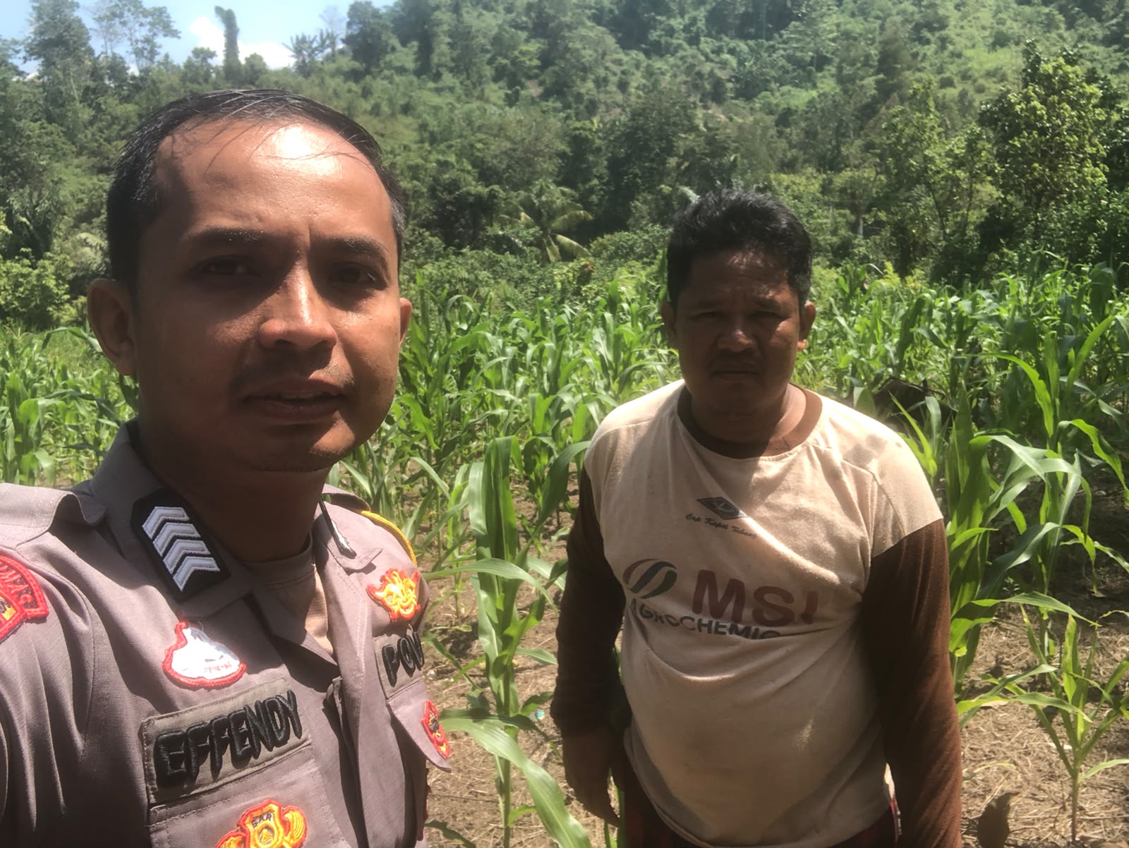 Bhabinkamtibmas Desa Tapua Monitoring Tanaman Jagung, Edukasi Petani Jual Hasil Panen ke Bulog