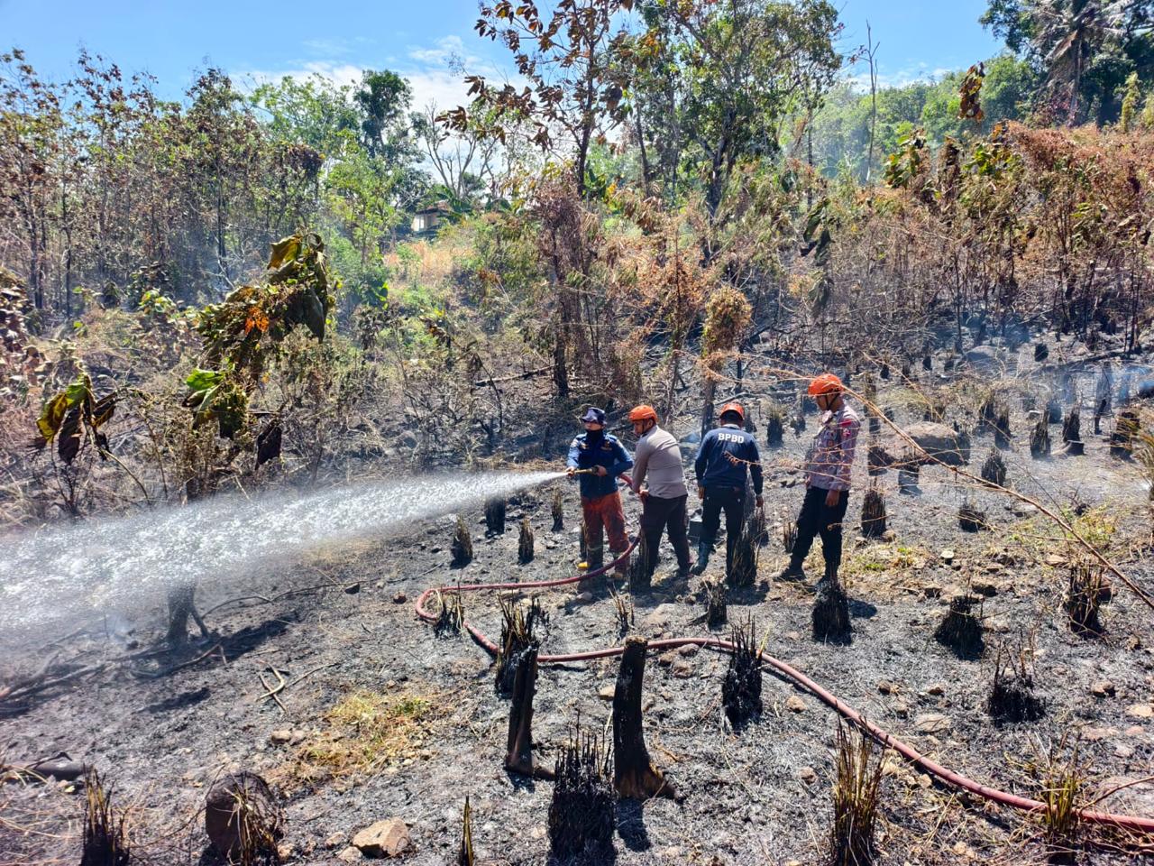 Cegah Api Meluas ke Permukiman, Tim SAR Brimob Berhasil Kendalikan Kebakaran Lahan
