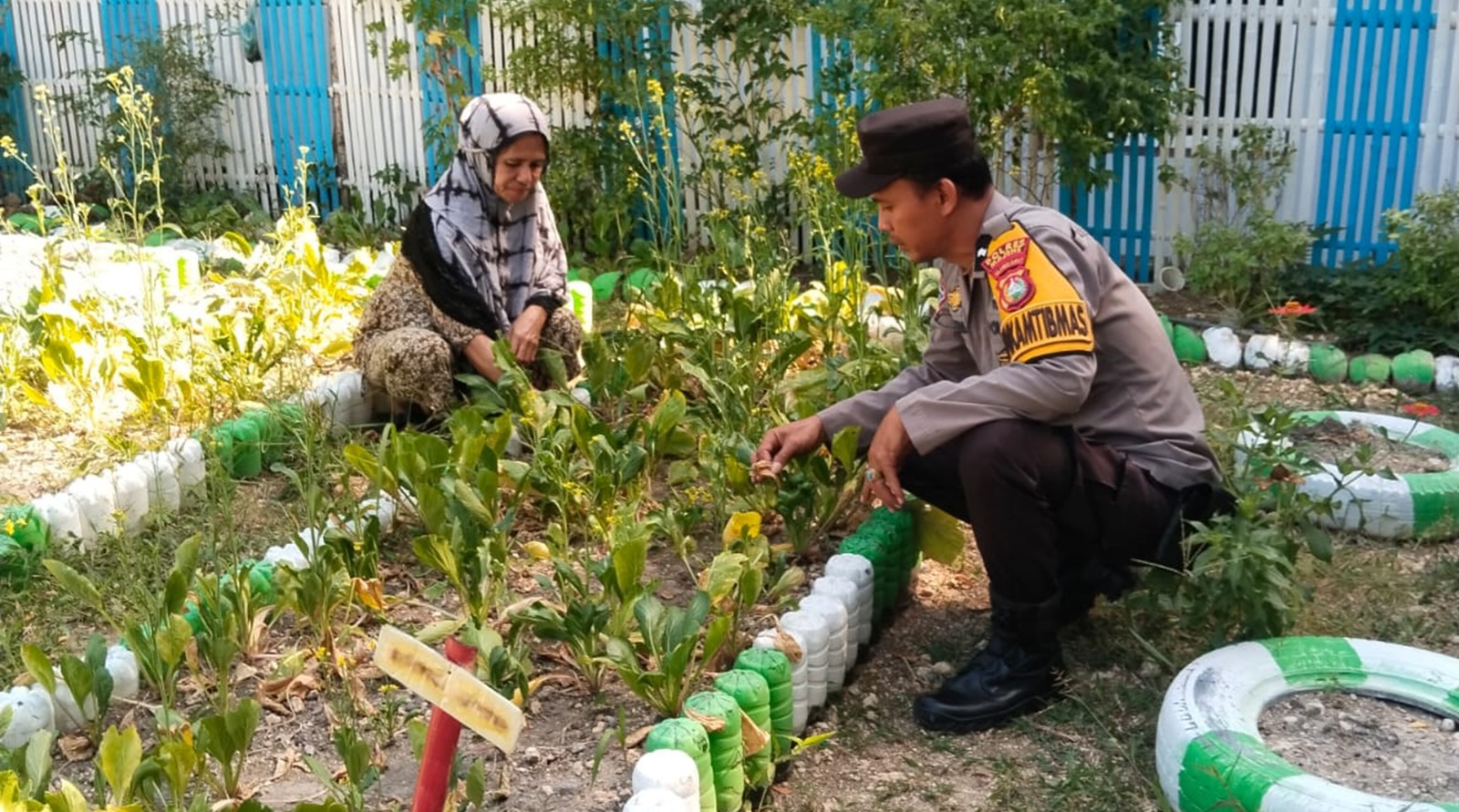 Lewat Kebun Dasawisma, Bhabinkamtibmas Polsek Banggae Perkuat Ketahanan Pangan Warga