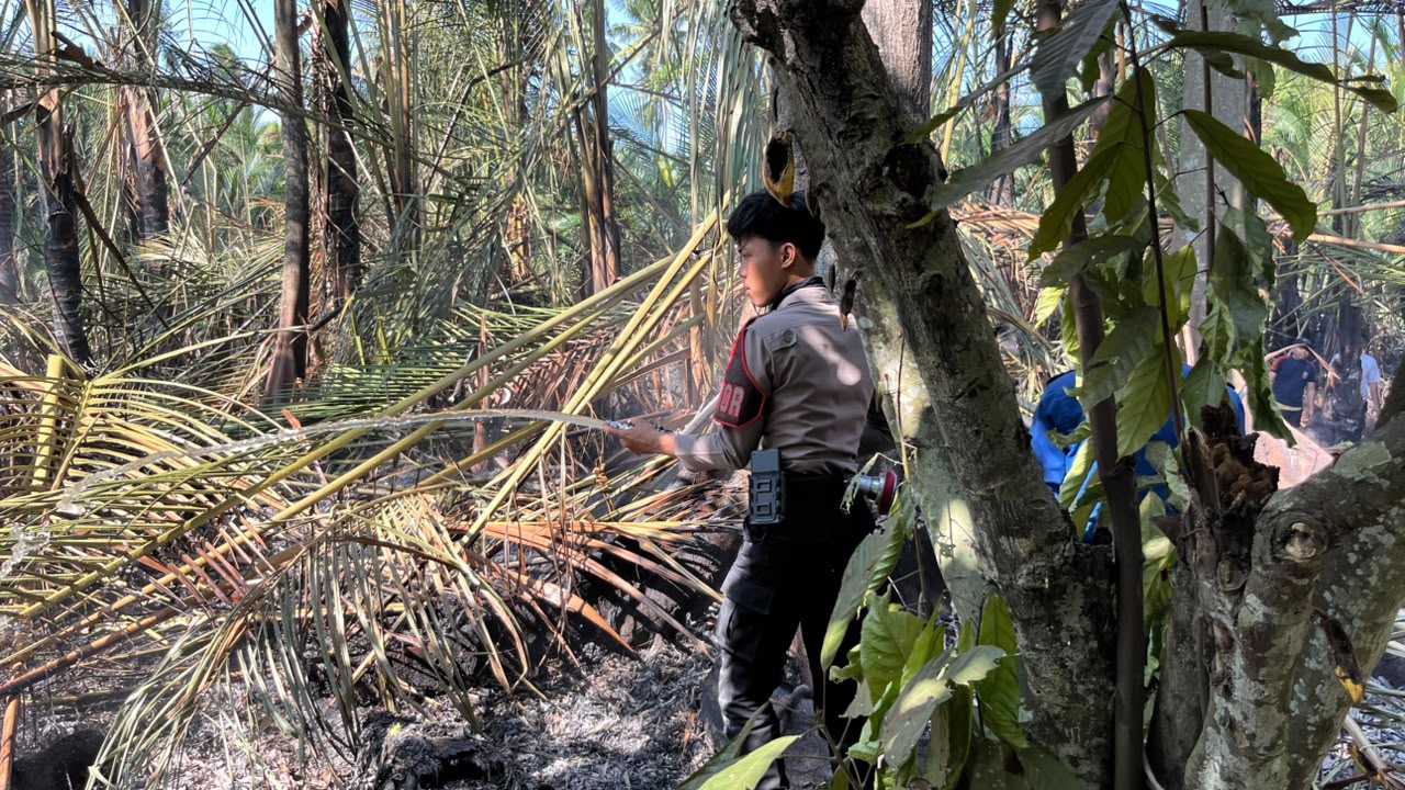 Respons Cepat Personel Gabungan Polres Polman, Kebakaran Lahan di Bonra 2 Berhasil Dipadamkan