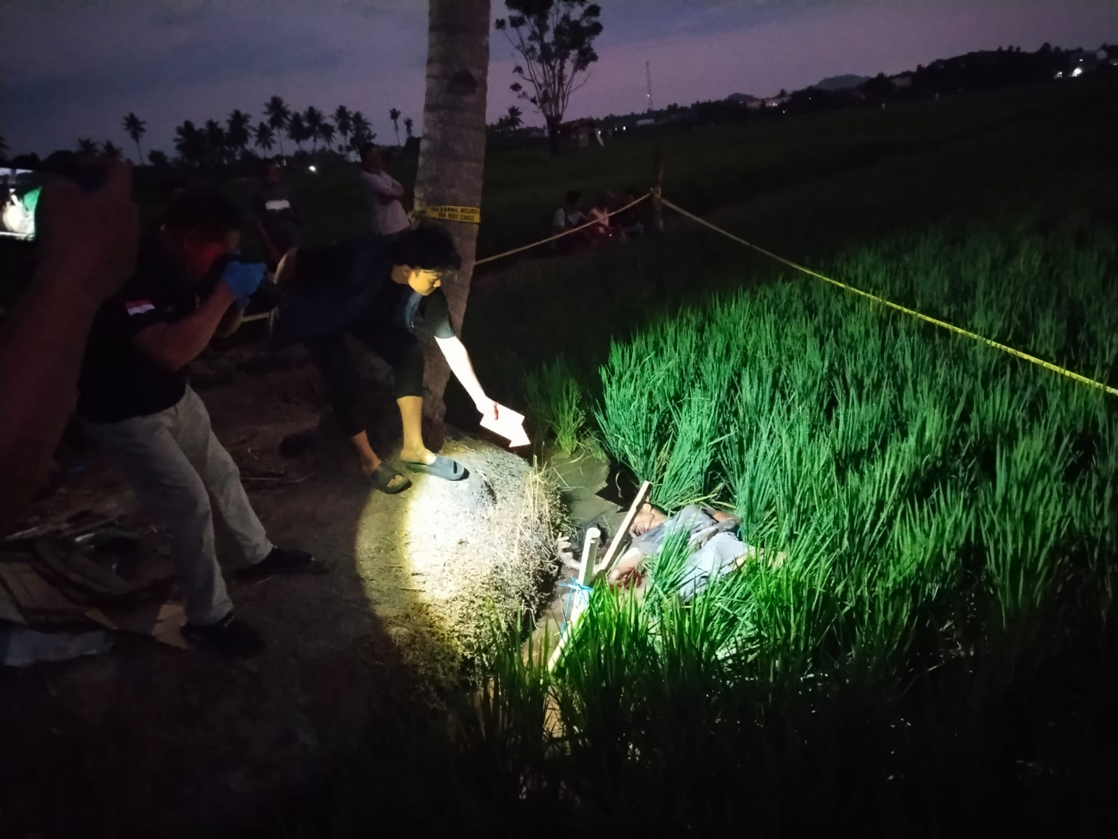 Petani Pengumpul Kelapa Ditemukan Meninggal di Persawahan Kuajang, Polisi Selidiki Penyebabnya