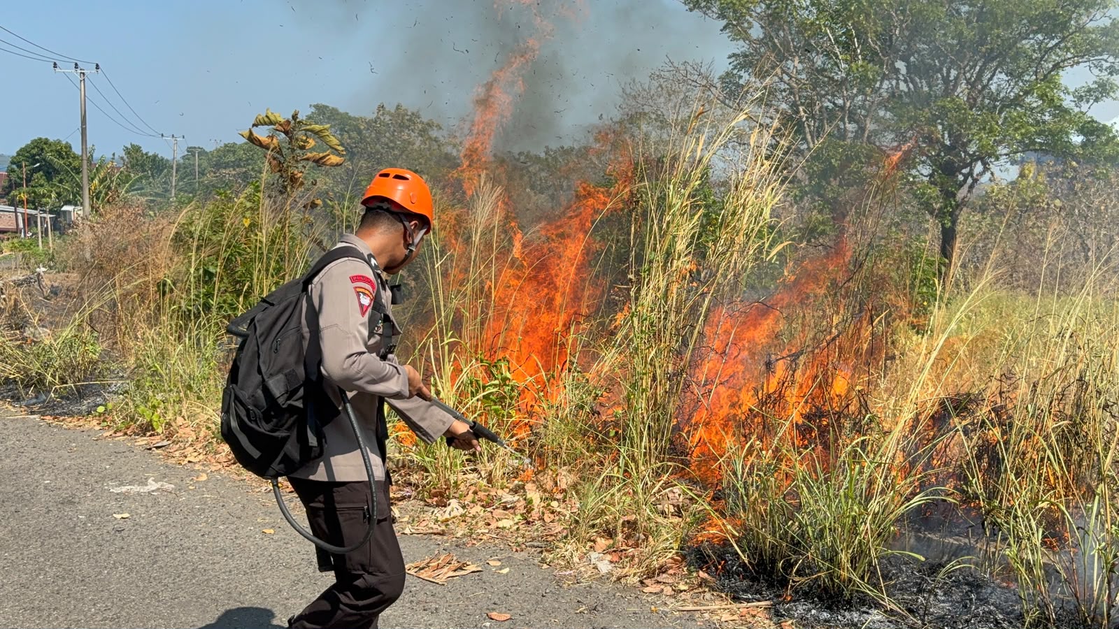 Cegah Api Meluas, Tim SAR Batalyon B Pelopor Padamkan Kebakaran Lahan di Bukit Harapan