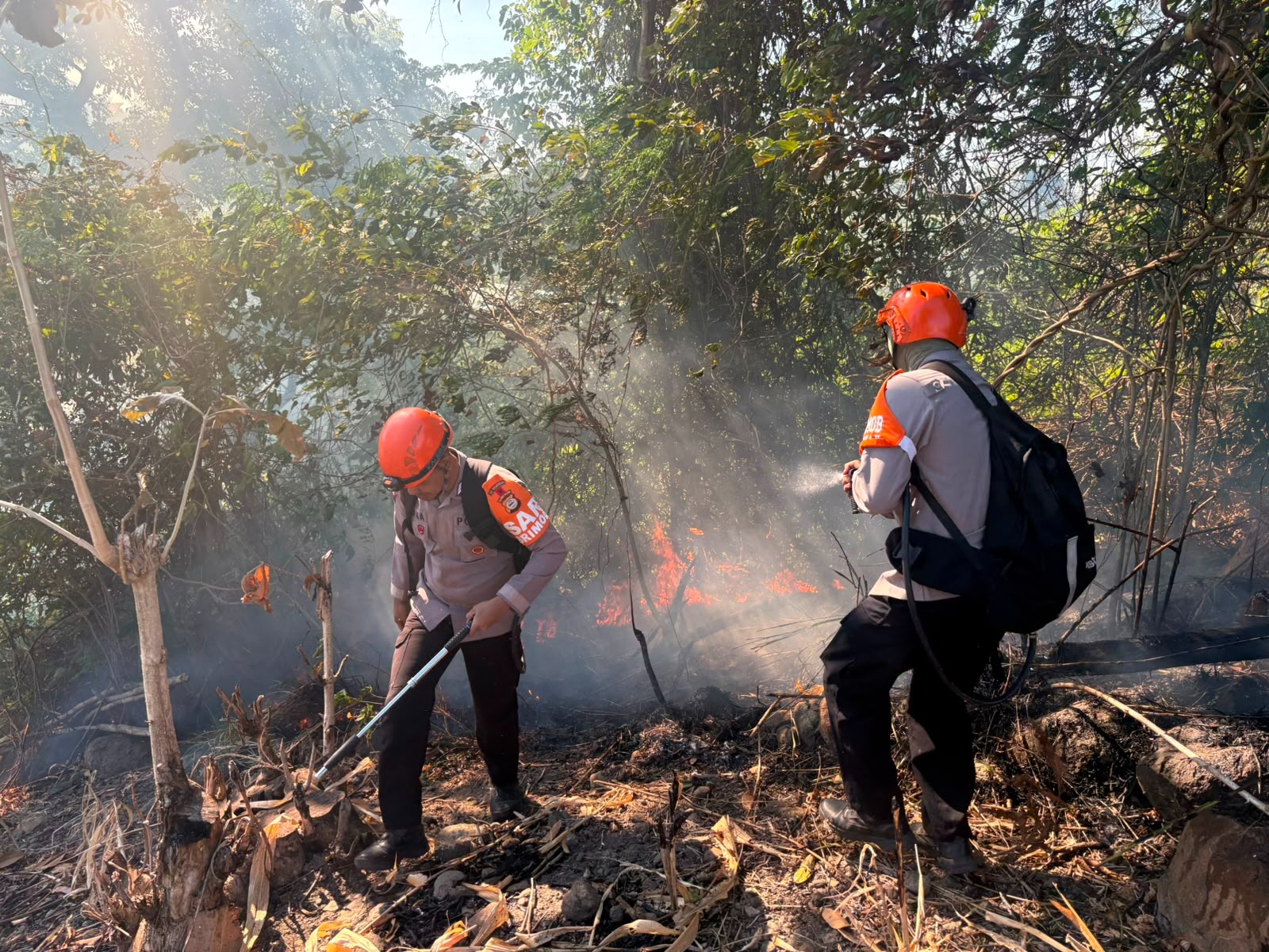 Kebakaran Lahan di Parepare, Tim SAR Batalyon B Pelopor Berjibaku Jinakkan Si Jago Merah