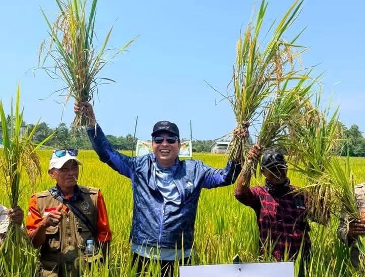 Produktivitas Melonjak, Bupati Andi Rahim Apresiasi Panen Raya Padi Tiga Tahun Berturut-turut di Desa Pengkajoang
