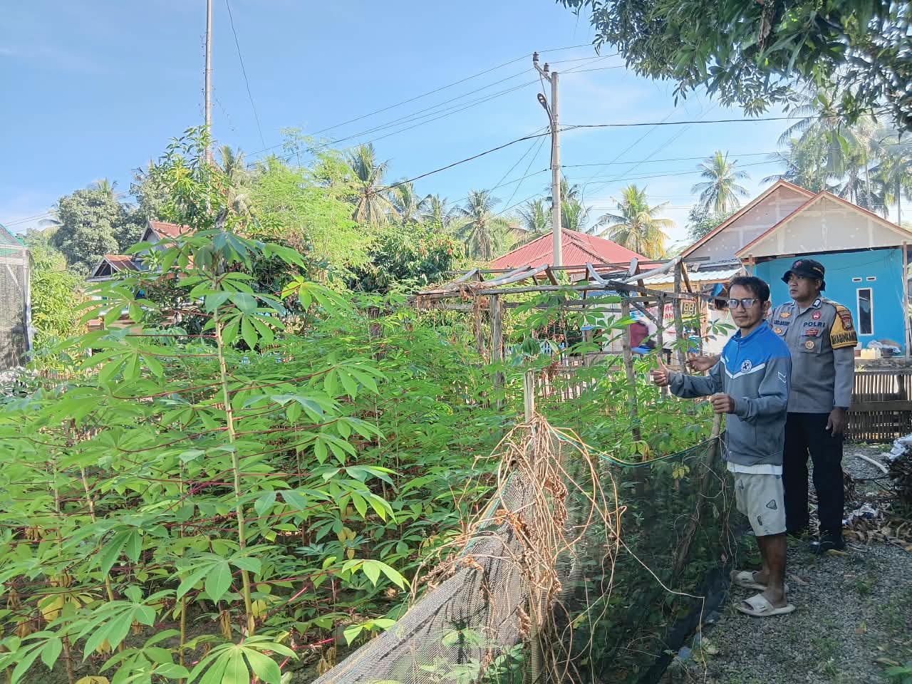 Dari Pekarangan untuk Ketahanan Pangan, Bhabinkamtibmas Polsek Malunda Pantau P2B Warga Lombong Timur