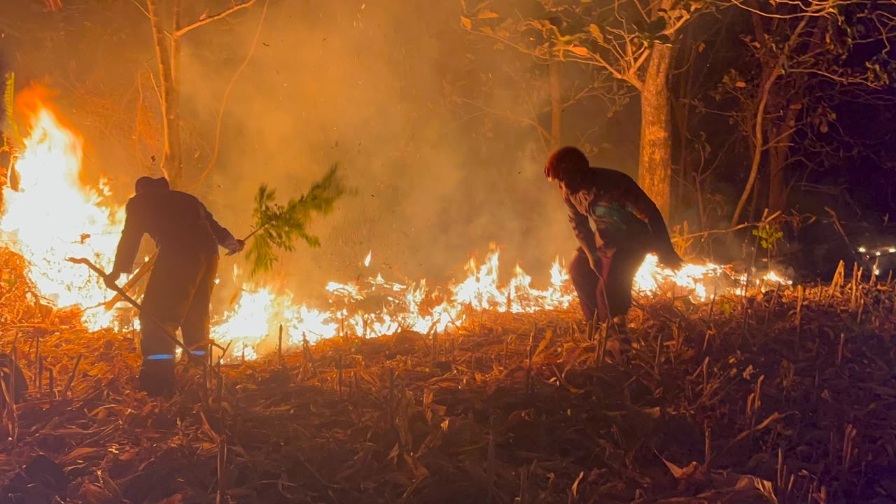Karhutla Kembali Mengancam Parepare, Batalyon B Pelopor Kerahkan Tim SAR