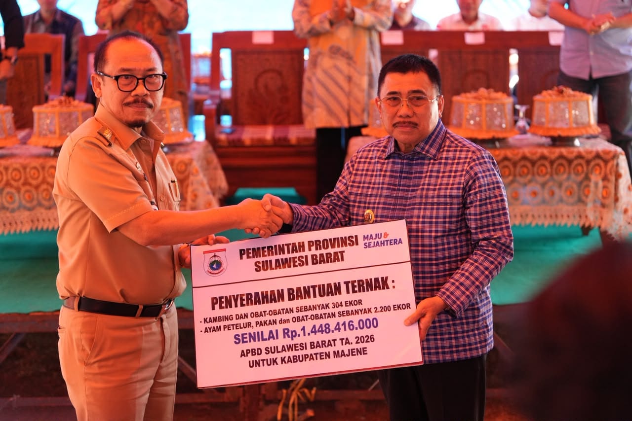Pemprov Sulbar Salurkan 304 Kambing dan 2.200 Ayam Petelur ke Kelompok Tani Majene