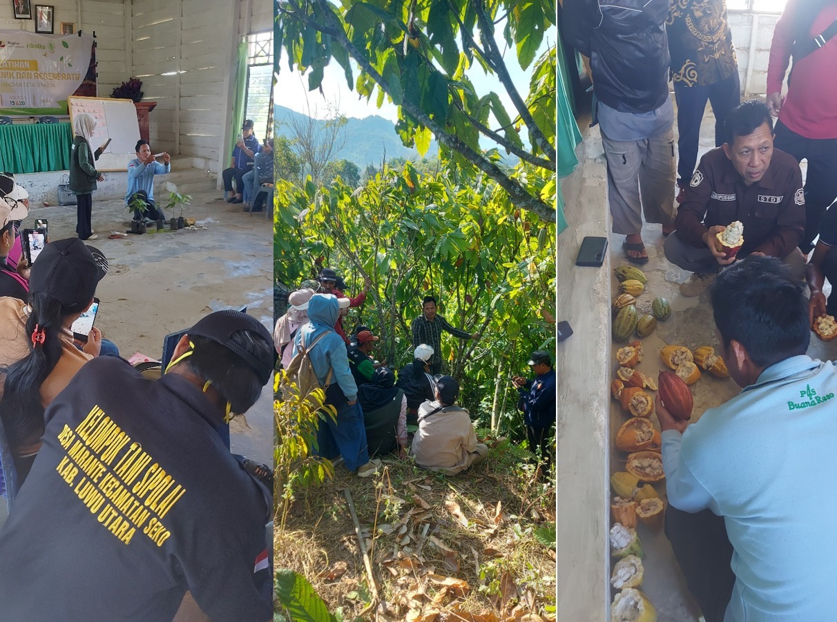 Menembus Batas Akses, Menumbuhkan Harapan: Petani Seko Antusias Belajar Kakao Berkelanjutan dari Hulu ke Hilir