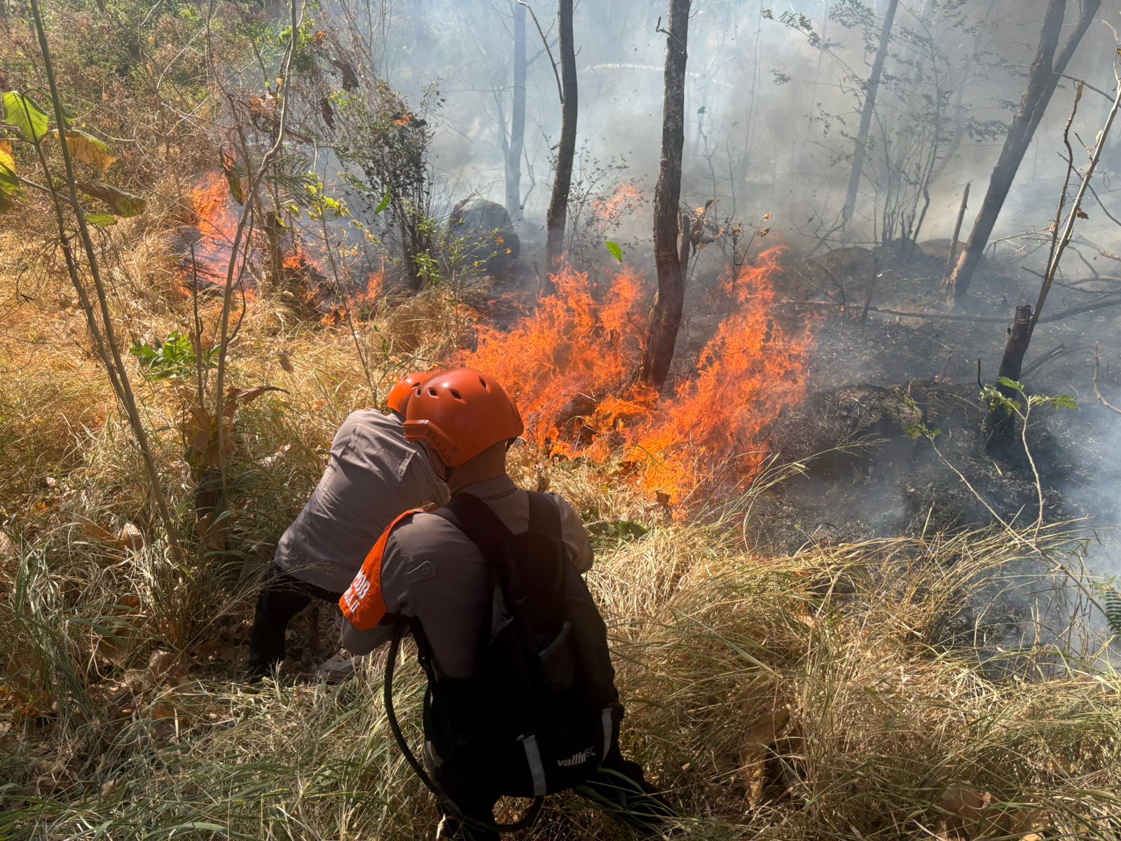 Api Berkobar di Bukit Madani Parepare, Tim SAR Batalyon B Pelopor Bergerak