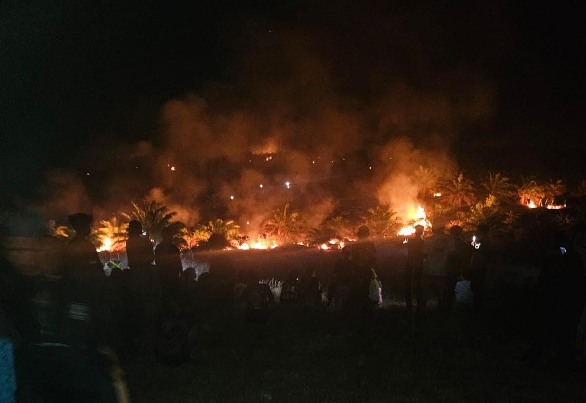 Lima Hektare Kebun Sawit Warga Polman Terbakar, Rugi Rp35 Juta