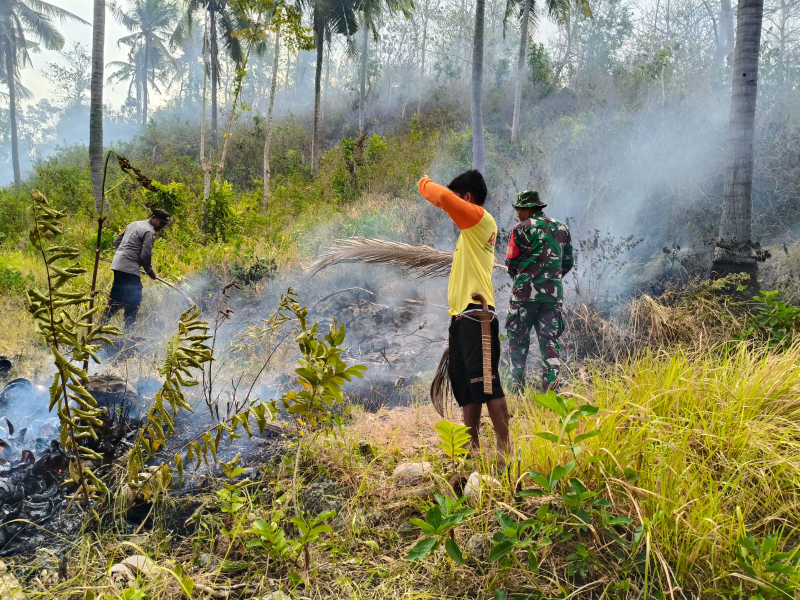 Polsek Banggae Bersama TNI, Damkar dan Warga Bahu Membahu Jinakkan Api Yang Membakar Lahan di Tande Timur