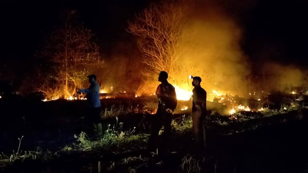 Gerak Cepat Tim Gabungan Padamkan Kebakaran 1,5 Hektare di Suppa
