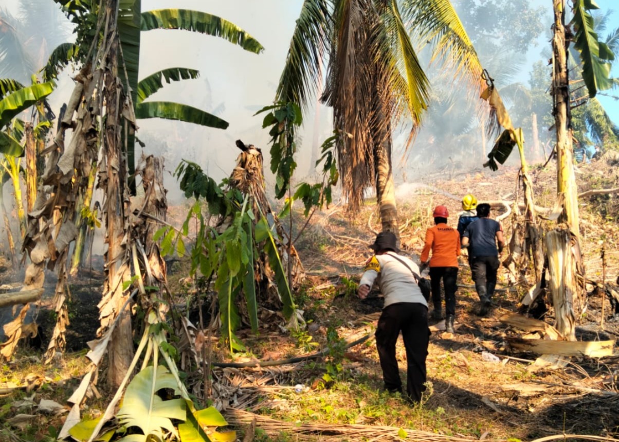Kebakaran Lahan di Puawang Meluas, Polsek Banggae, TNI dan Damkar Padamkan Api hingga Sore