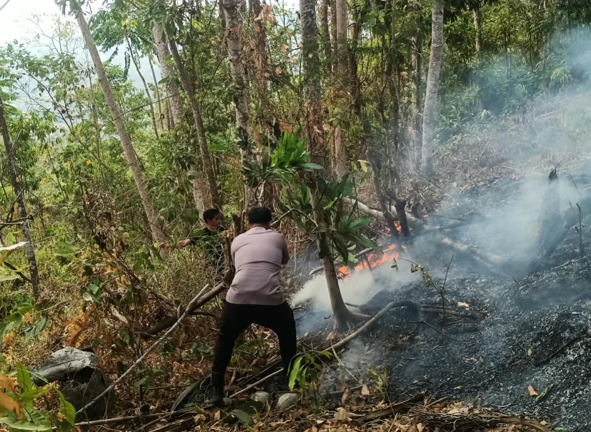 Kebakaran Lahan Meluas di Lombang, Polisi dan Warga Bergerak Cepat Cegah Api Menjalar