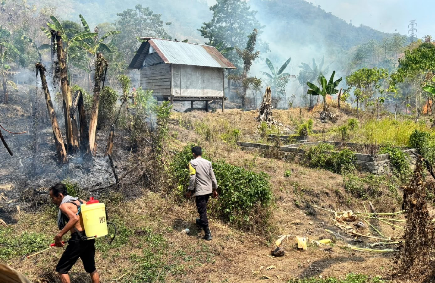 Kebakaran Lahan di Ulumanda Meluas, Personel Polsek Malunda dan Warga Berjibaku Padamkan Api