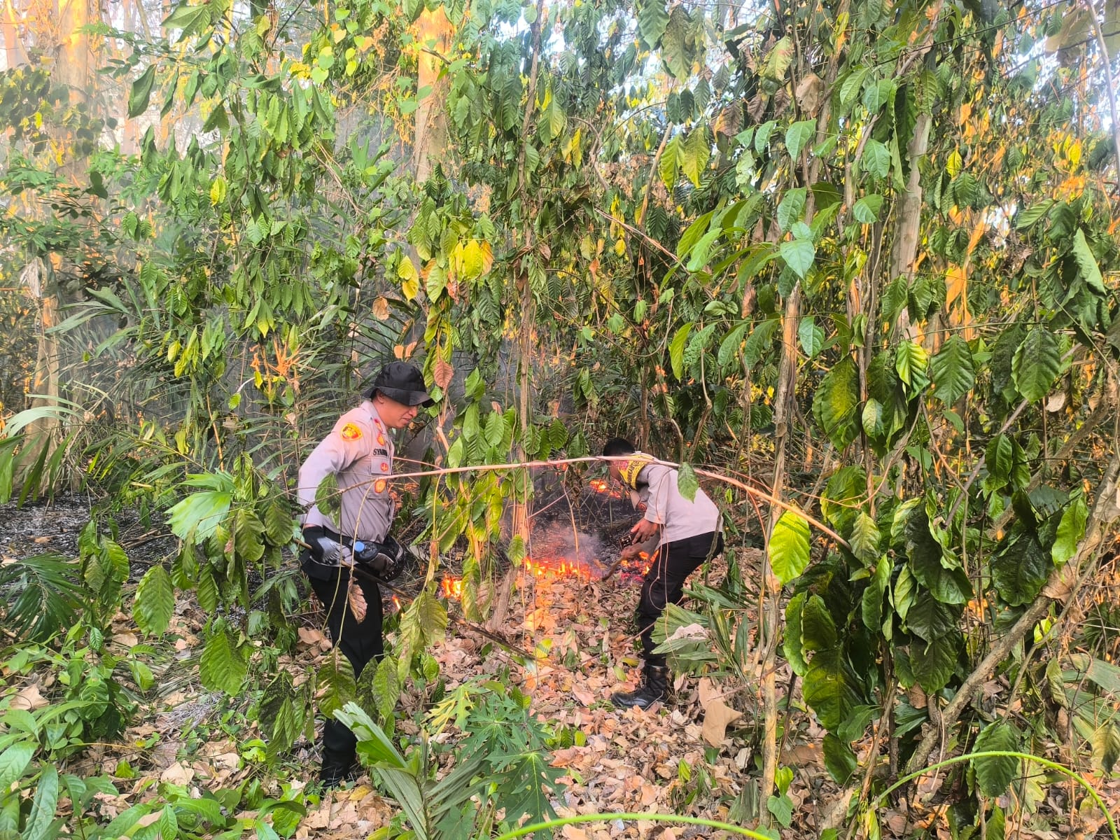 Kapolsek Polewali Bersama Sat Samapta dan Warga Padamkan Kebakaran Lahan di Kelurahan Darma
