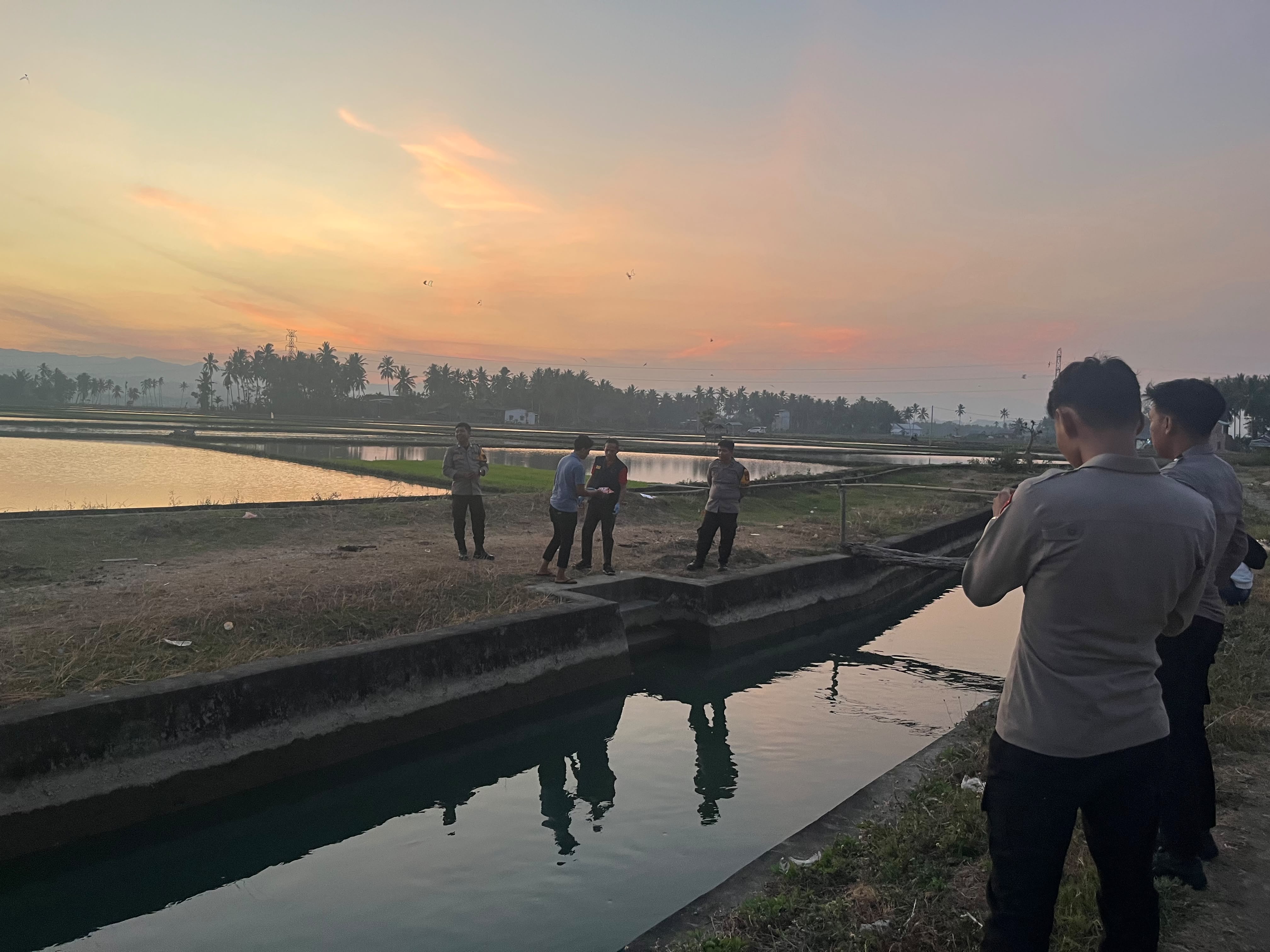 Lansia 87 Tahun Hilang Saat Gembala Sapi, Ditemukan Meninggal