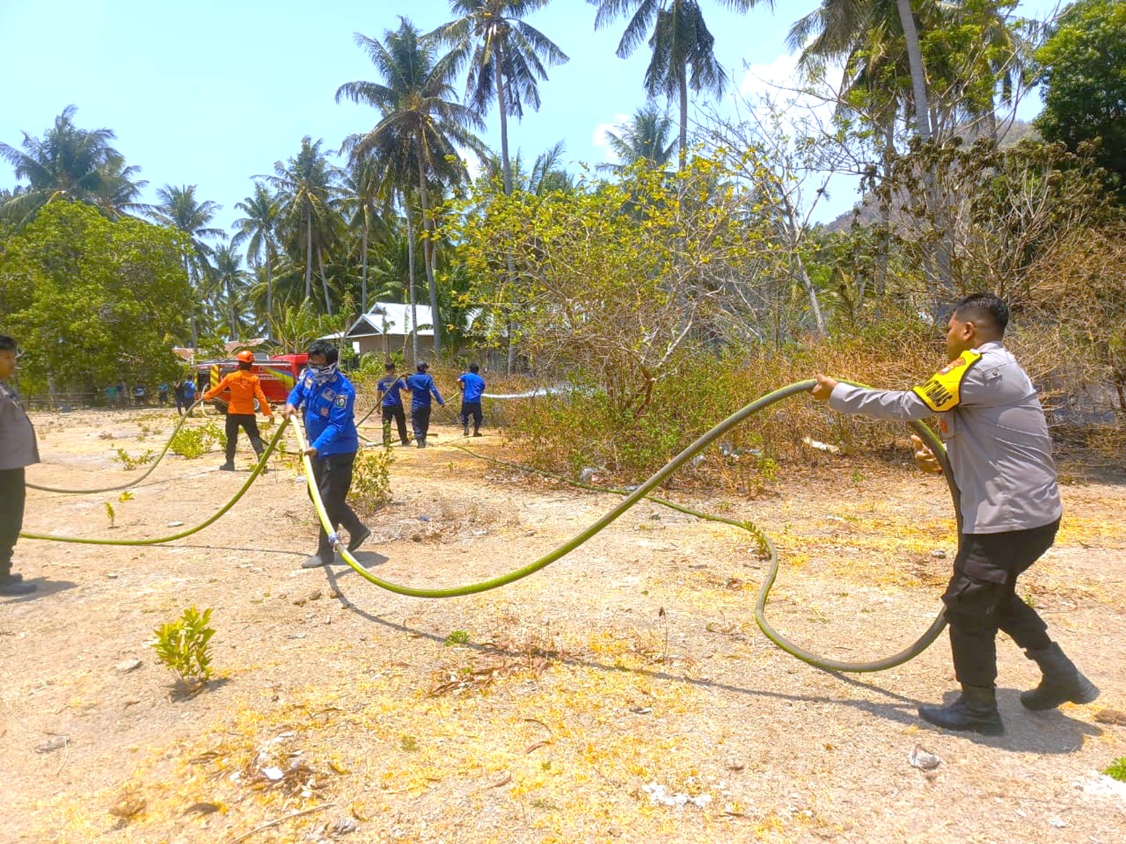 Polsek Pamboang Bersama Warga dan Damkar Bergerak Cepat Padamkan Kebakaran Lahan di Lalampanua